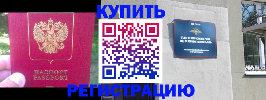 где прописаться в Стародубе